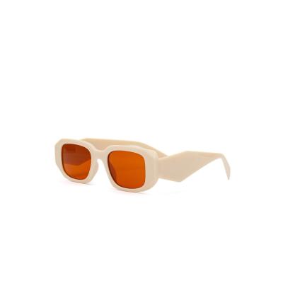 Kadın Güneş Gözlüğü Bej 4